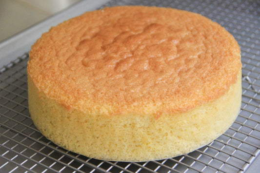 9" Vanilla Round Cake Sponge